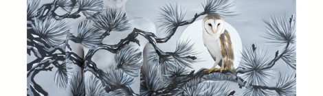 Emma Hack Oriental Fir with Owl