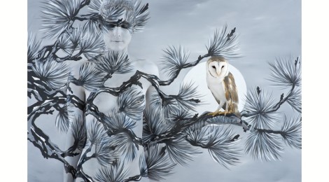 Emma Hack Oriental Fir with Owl