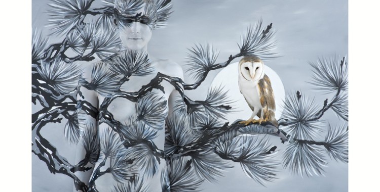 Emma Hack Oriental Fir with Owl