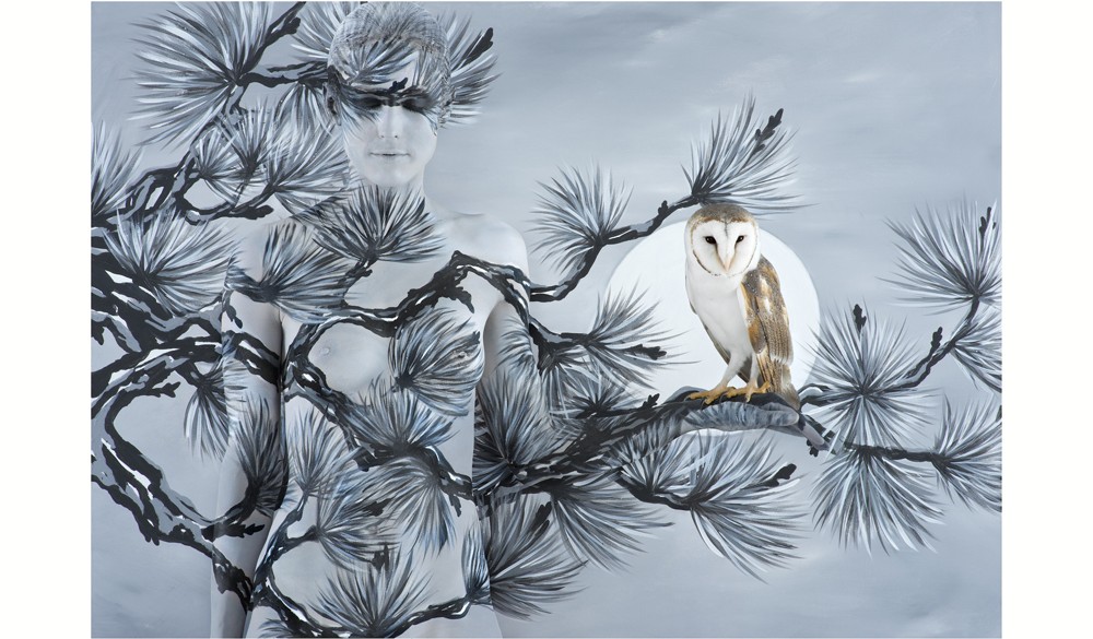 Emma Hack Oriental Fir with Owl